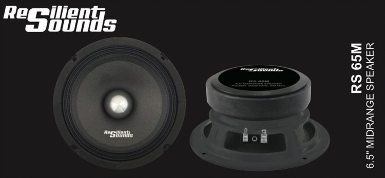 resilient sounds 6.5 speakers